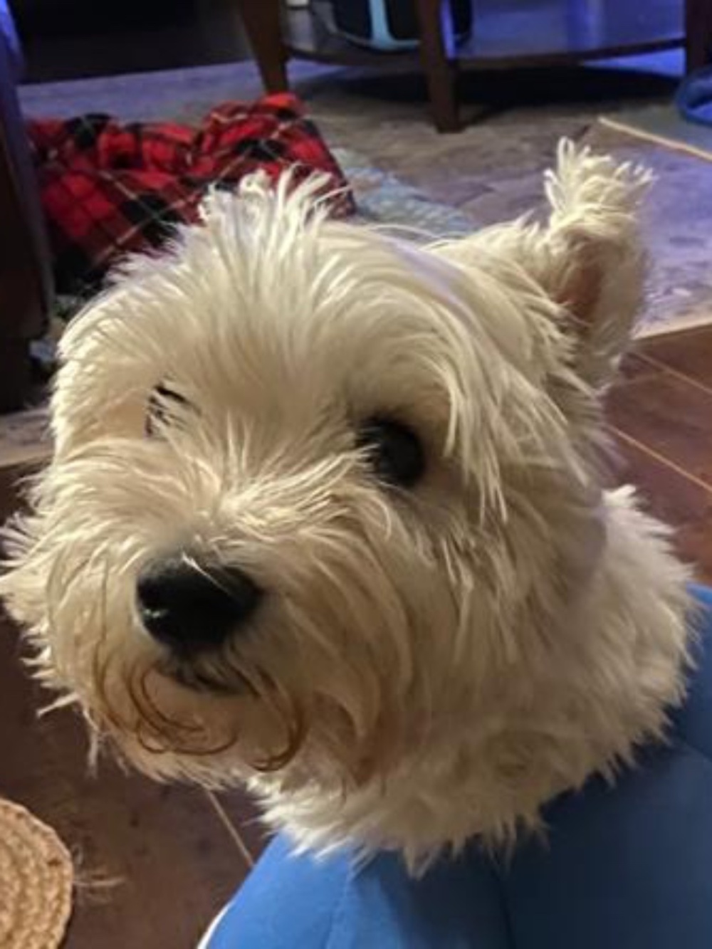 Meet the posher